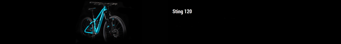 CUBE STING WS 120 2020