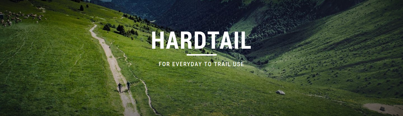 HARDTAIL 2021