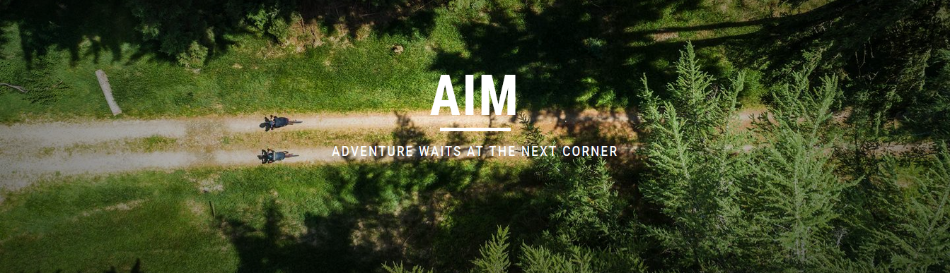 AIM 2021