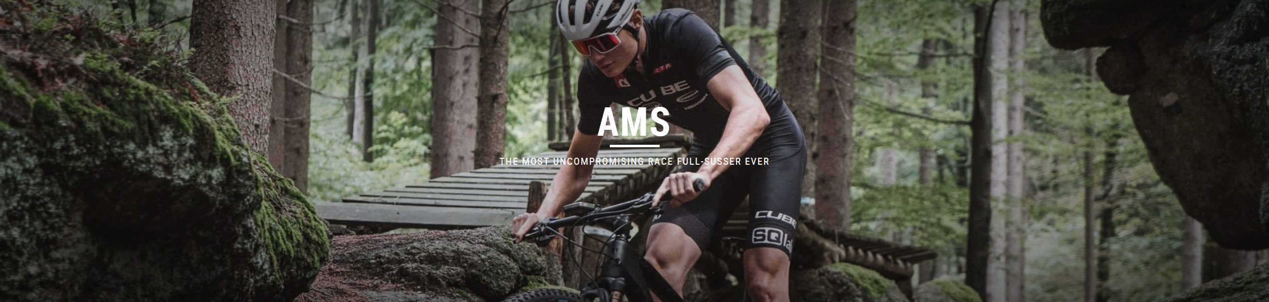 AMS 100 2021