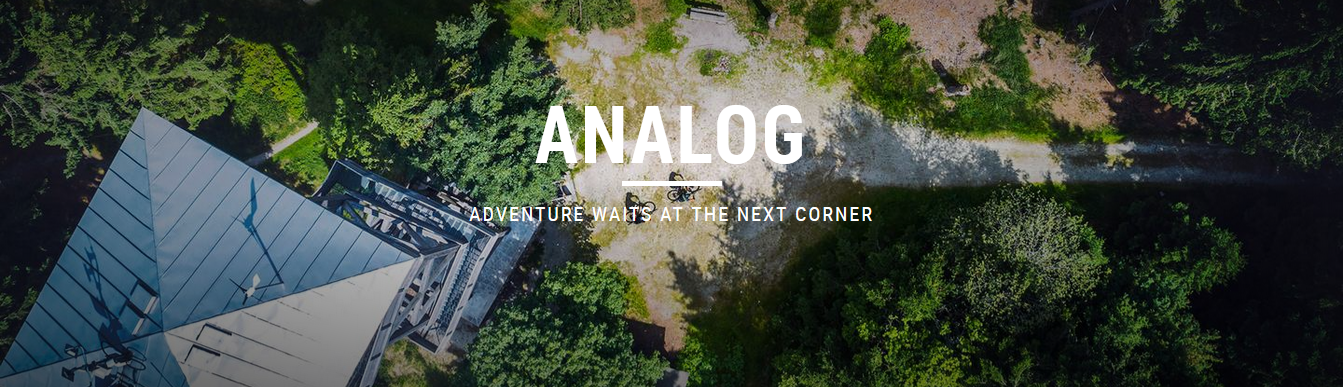 ANALOG 2021