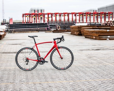 Fenix C Details 1