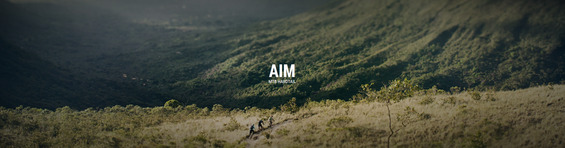 aim