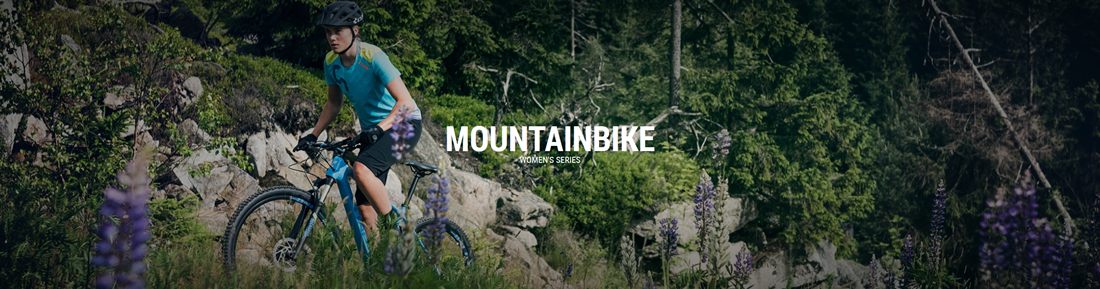 moutainbikeWS