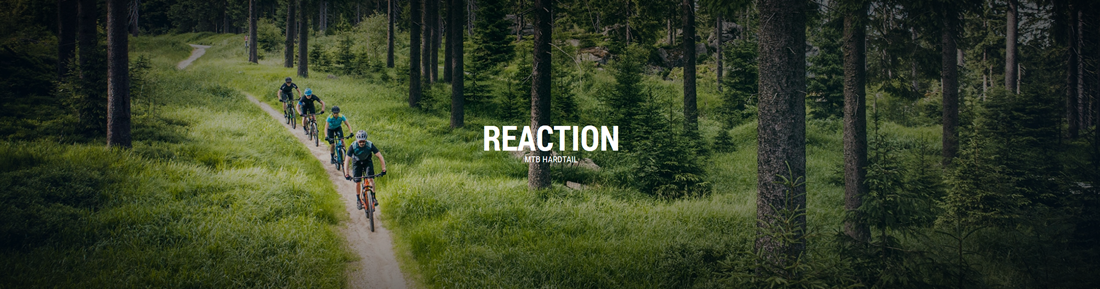 reaction