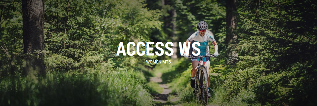 hlavni obr access ws 2019